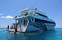 Our Boat Lady Musgrave Experience – Great Barrier Reef